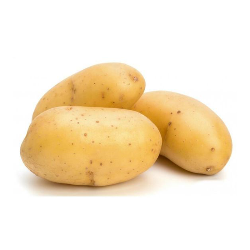 Pomme de terre blanche